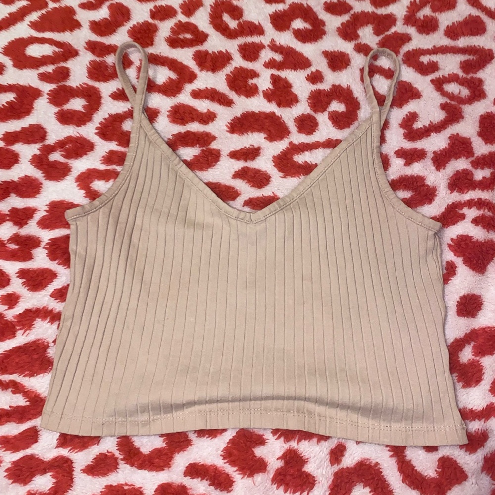 Beige Ribbed V-Neck Crop Top